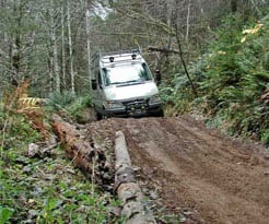 A Van in Tillamook State Forest